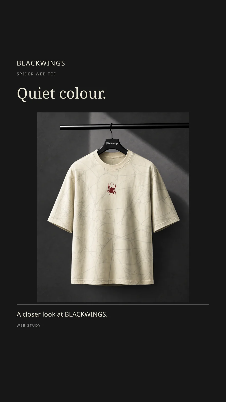 BLACKWINGS / Web Study: Quiet colour.
